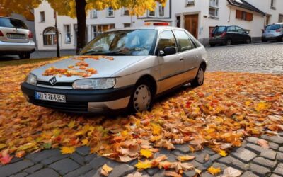 Nummernschild verloren oder gestohlen in Pirmasens – Wie ersetzen?