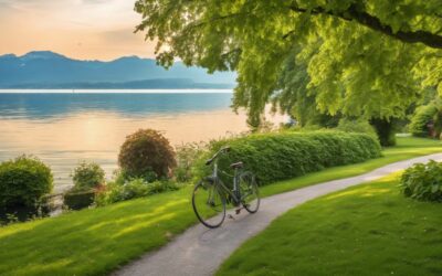 Kennzeichen verloren oder gestohlen in Radolfzell am Bodensee – Wie ersetzen?