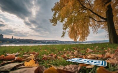 [Kennzeichen verloren oder gestohlen in Ehingen (Donau) – Wie ersetzt man es?]