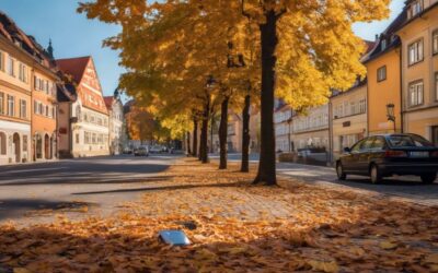 Kennzeichen in Pirna verloren oder gestohlen – Wie ersetzt man es?