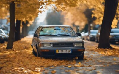 Nummernschild in Fellbach verloren oder gestohlen – Wie ersetzt man es?