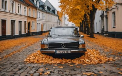 Nummernschild verloren oder gestohlen in Stadthagen – Wie ersetzen?